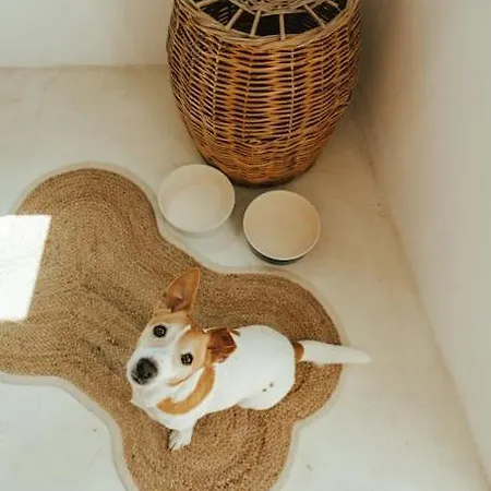 Prázdninový dům Sol Living *