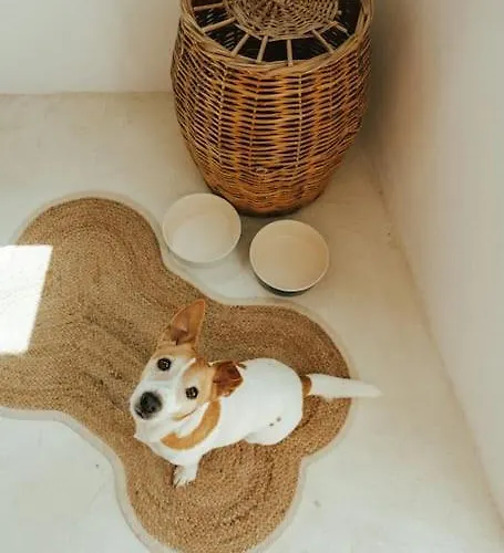 Сasa de vacaciones Sol Living *